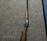 12 gauge shotgun 