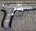 Sig Sawyer 22 caliber 